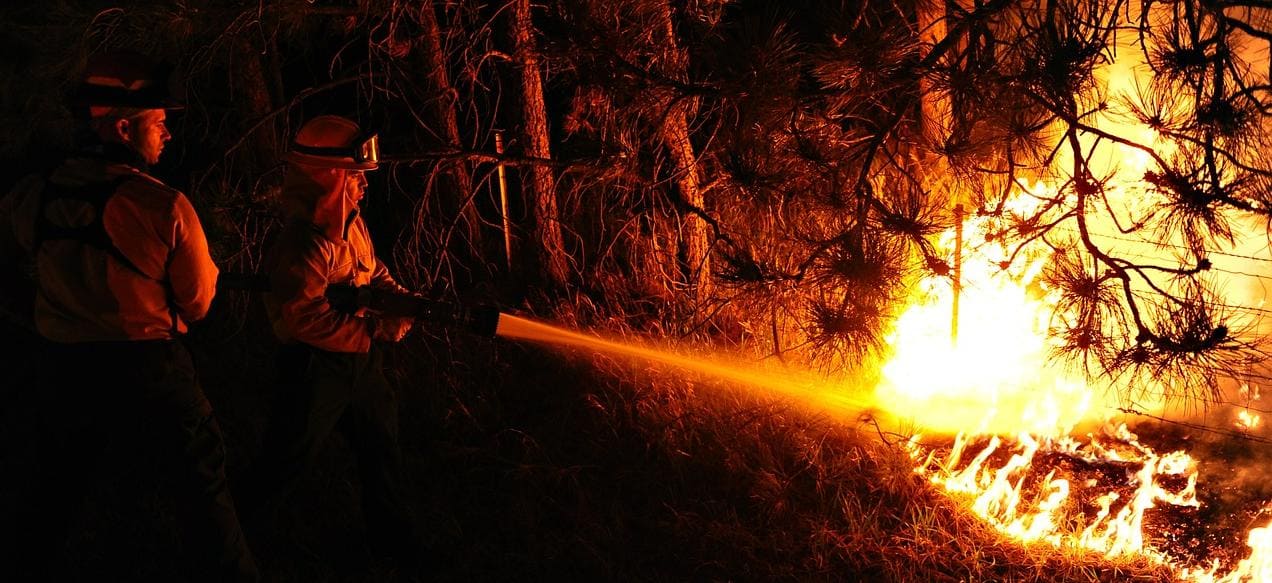 Apagar O Fogo Com Um Balde De água. Incêndios Florestais No Verão