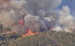 Perguntas frequentes sobre incêndios florestais
