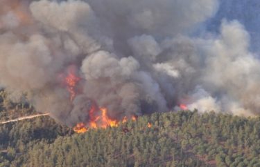 Perguntas frequentes sobre incêndios florestais